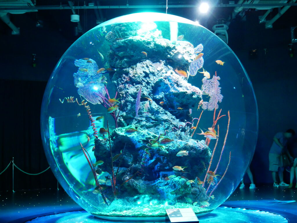 アルカラによる地元紹介その⑤　　　AQUARIUM ✕ ART átoa(アトア）後編
