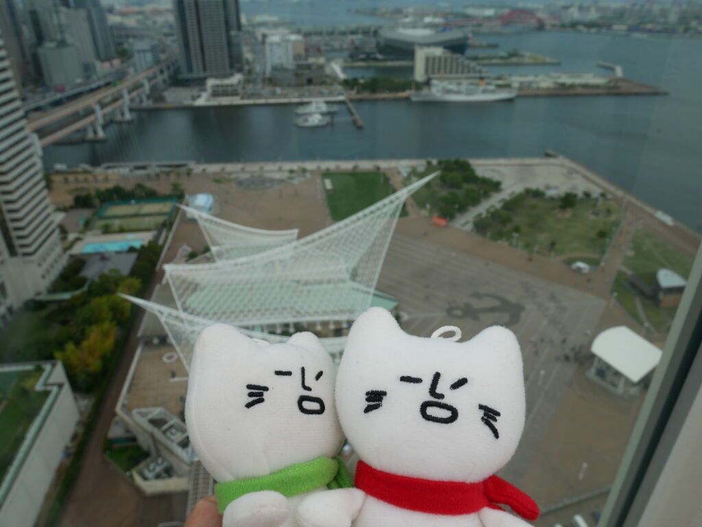 アルカラによる地元紹介その⑭　　　　　　ポートタワー(昼編)